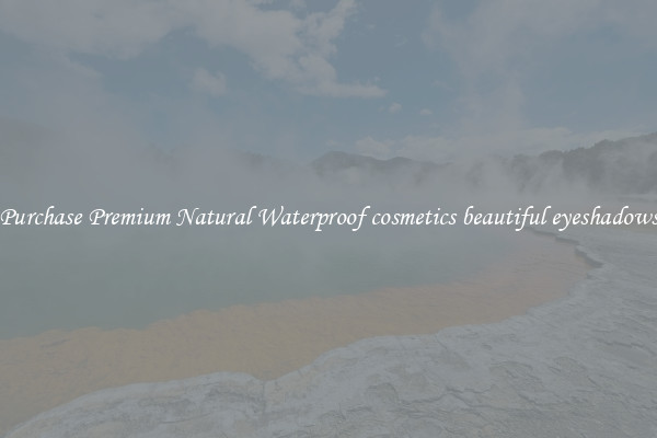 Purchase Premium Natural Waterproof cosmetics beautiful eyeshadows