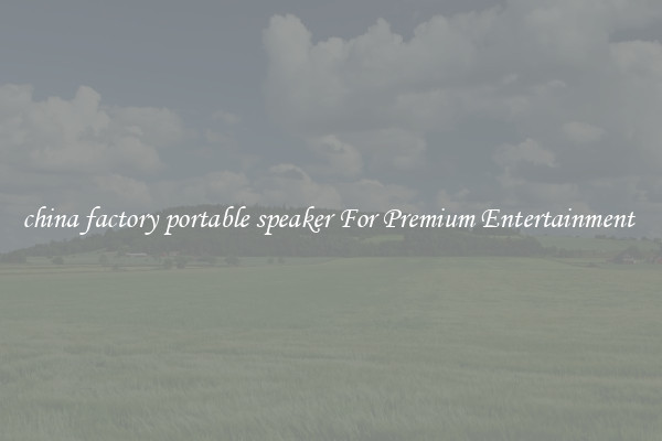 china factory portable speaker For Premium Entertainment 