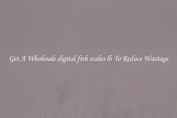 Get A Wholesale digital fish scales lb To Reduce Wastage