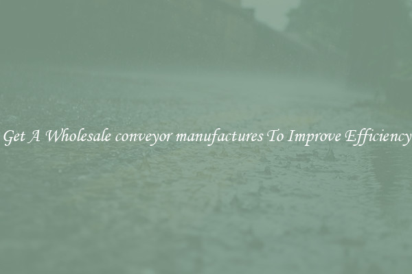 Get A Wholesale conveyor manufactures To Improve Efficiency