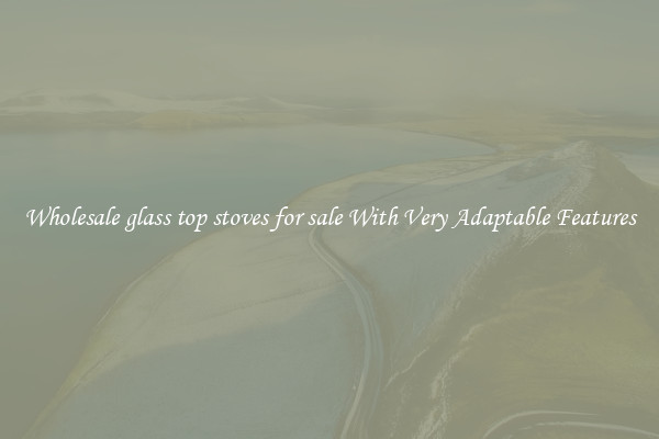 Wholesale glass top stoves for sale With Very Adaptable Features