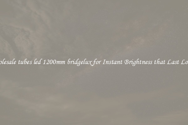 Wholesale tubes led 1200mm bridgelux for Instant Brightness that Last Longer