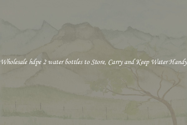 Wholesale hdpe 2 water bottles to Store, Carry and Keep Water Handy