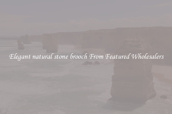 Elegant natural stone brooch From Featured Wholesalers