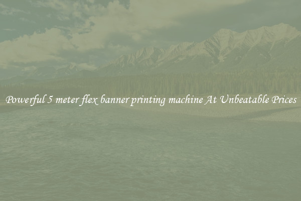 Powerful 5 meter flex banner printing machine At Unbeatable Prices