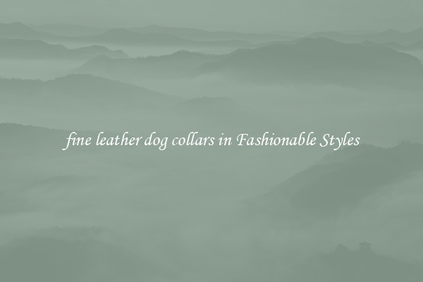 fine leather dog collars in Fashionable Styles