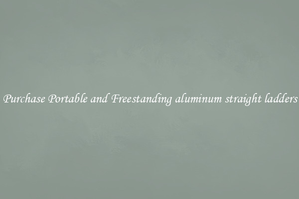 Purchase Portable and Freestanding aluminum straight ladders