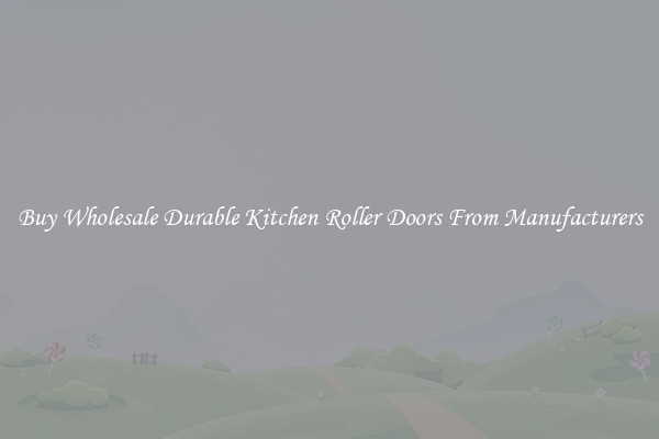Buy Wholesale Durable Kitchen Roller Doors From Manufacturers