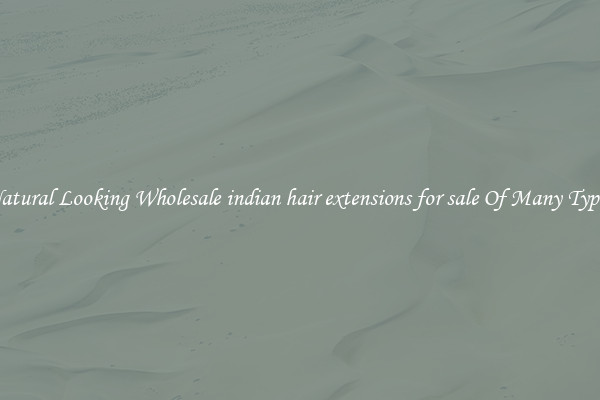 Natural Looking Wholesale indian hair extensions for sale Of Many Types