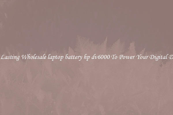 Long Lasting Wholesale laptop battery hp dv6000 To Power Your Digital Devices