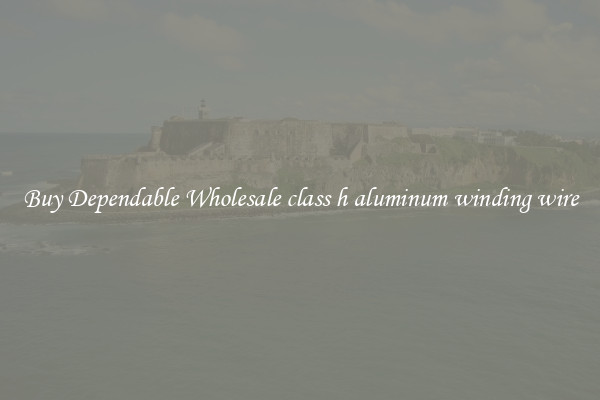 Buy Dependable Wholesale class h aluminum winding wire