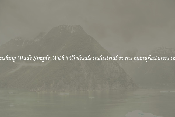 Finishing Made Simple With Wholesale industrial ovens manufacturers india