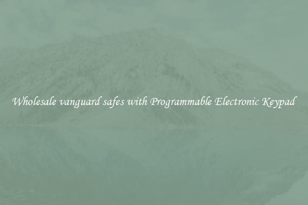 Wholesale vanguard safes with Programmable Electronic Keypad 